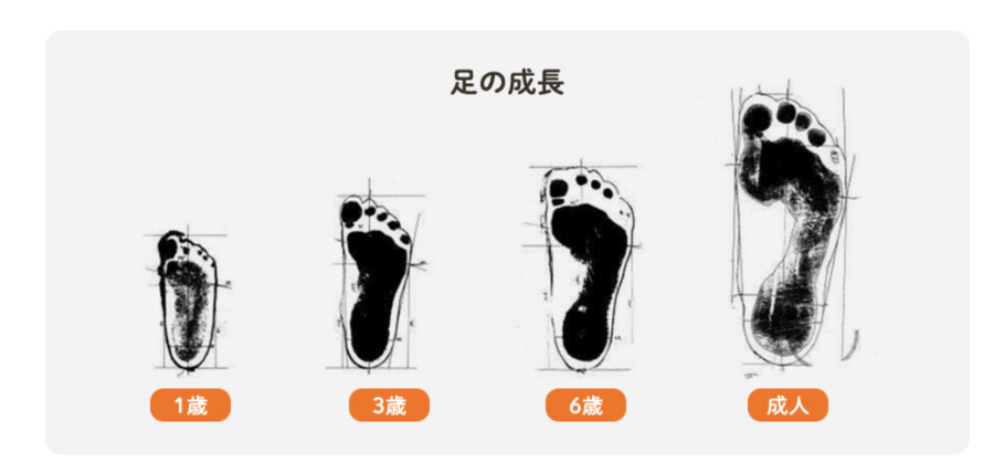 子ども靴専門店のゲンキ・キッズ｜お子様の正しい足のサイズ知っていますか？ (2)